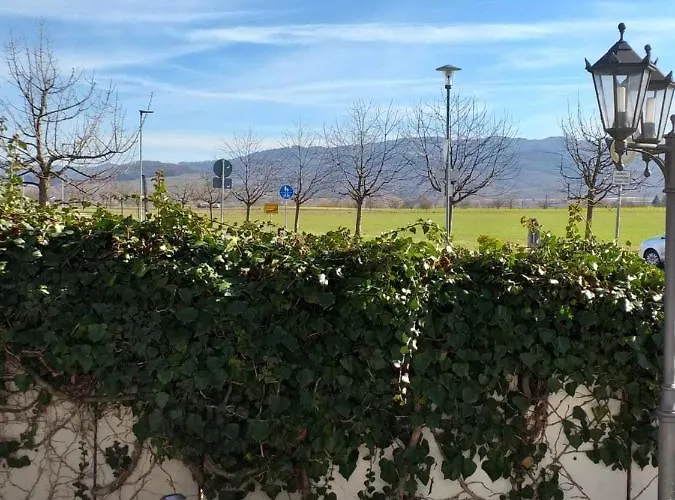 Landgasthof Adler Bad Krozingen